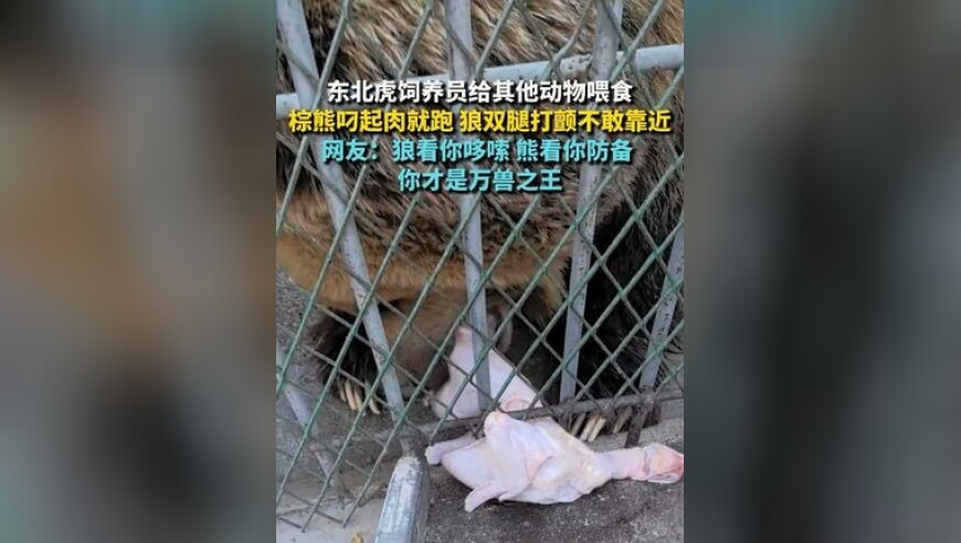 双影奇境 兄弟变敌蜜,澳门蓝月亮官方站正宗资料i,确保成语解释落实的问题_云端版V2.66